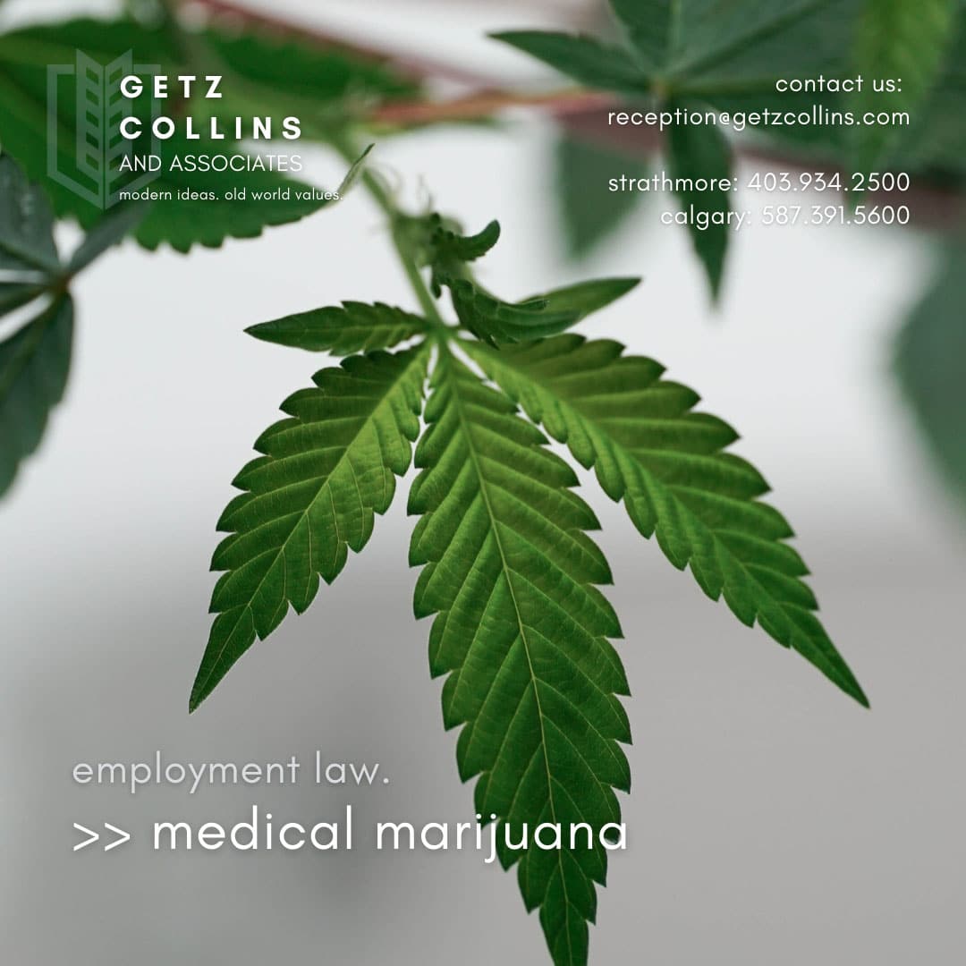 Can you be fired for using medical marijuana