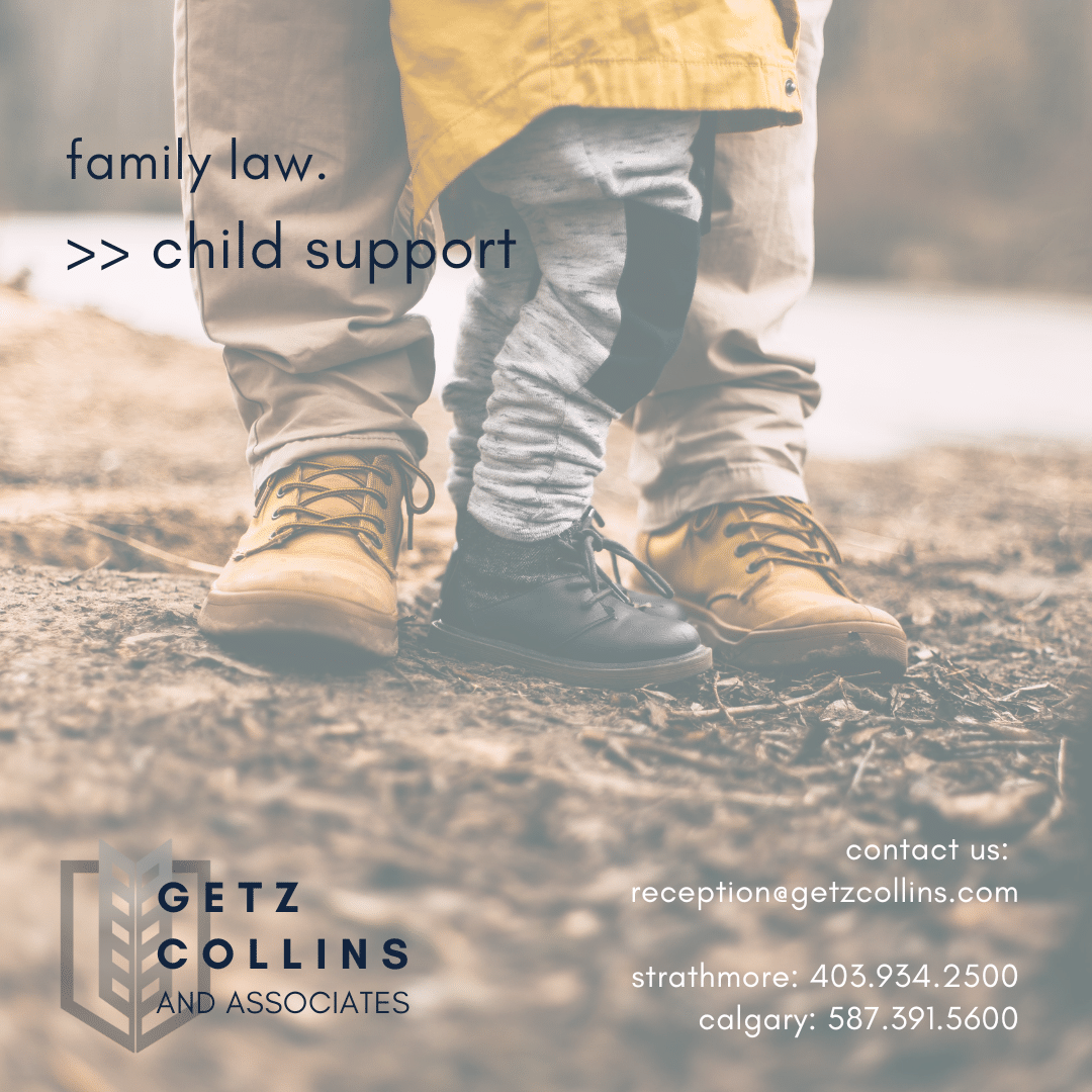 child support90|family lawyers child support 768x768 1|Child Family Woman Home Ha 430775915
