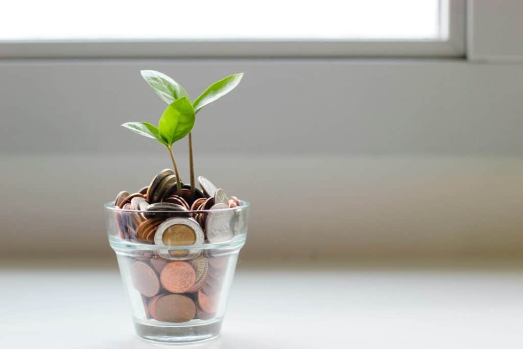 green plant growing from money