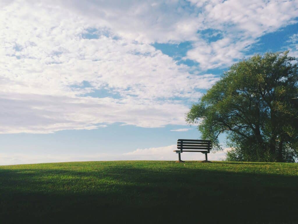 A park bench on a low grassy hill under a tree, representing estate planning and charitable giving.