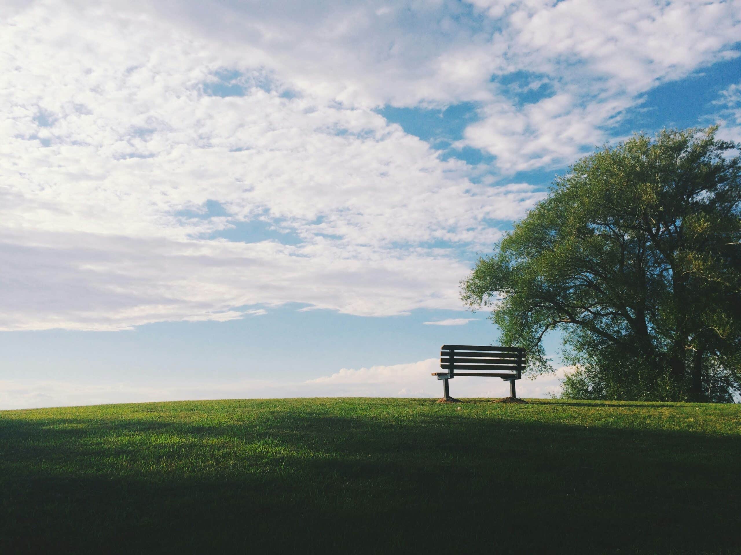 A park bench on a low grassy hill under a tree, representing estate planning and charitable giving.