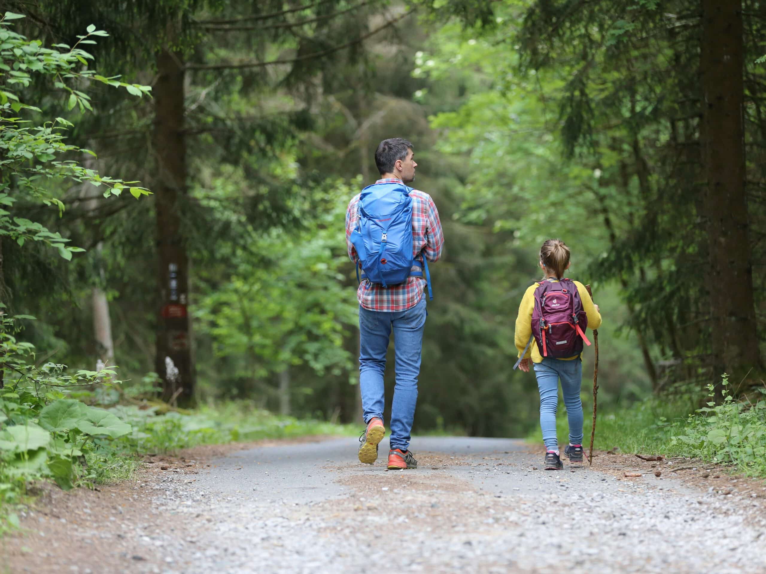 View from behind of a father and his young child hiking on a wooded path surrounded by lush green trees, representing Divorce in Calgary and Strathmore, Alberta.