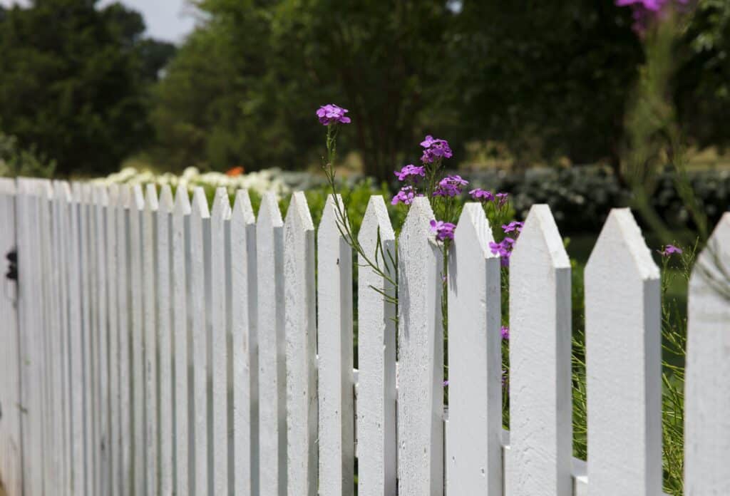 A white picket fence against a garden with purple flowers, representing neighbour disputes based on nuisance and fences in Alberta.